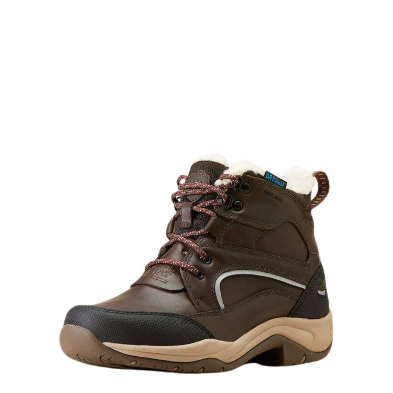 Ariat Telluride H20 Insulated Stalschoen