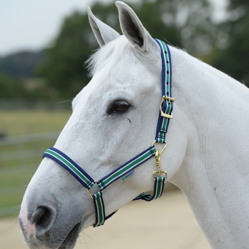 Bucas Halster Dublin