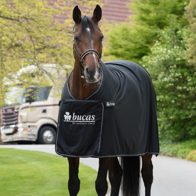 Bucas Panel Prize Cooler