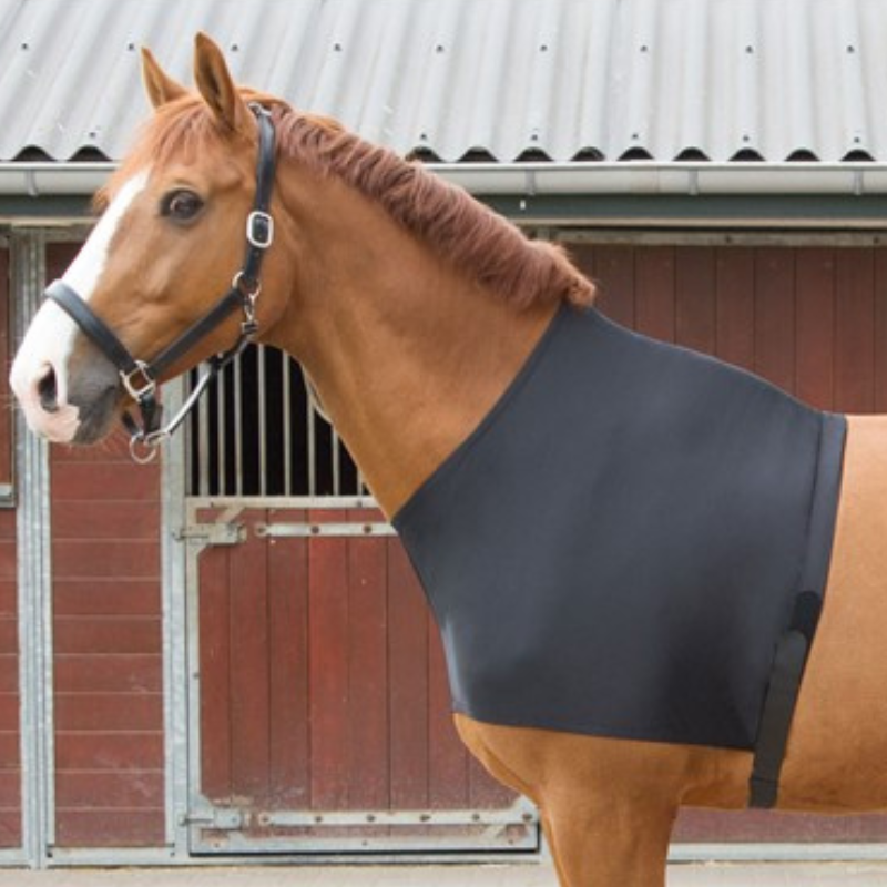 Harry's Horse Borstbeschermer Elastic