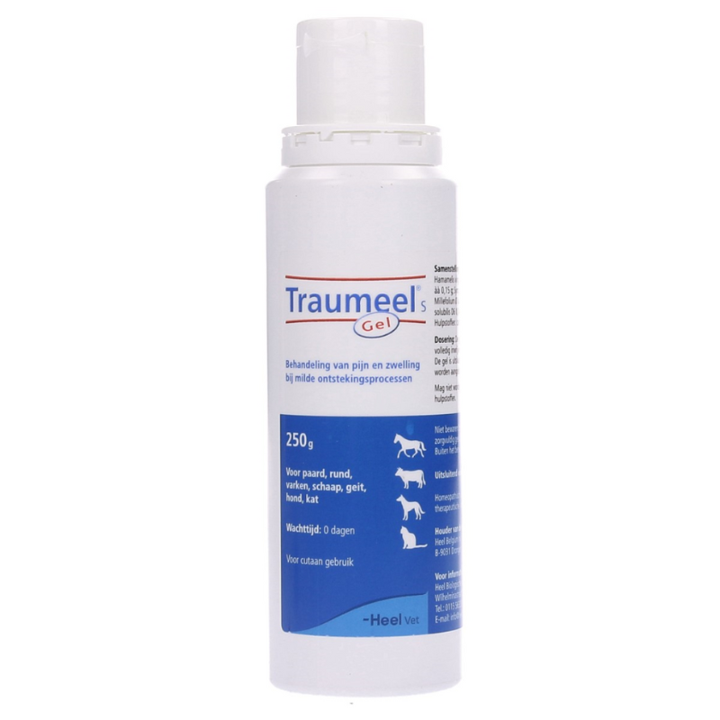 Traumeel Gel