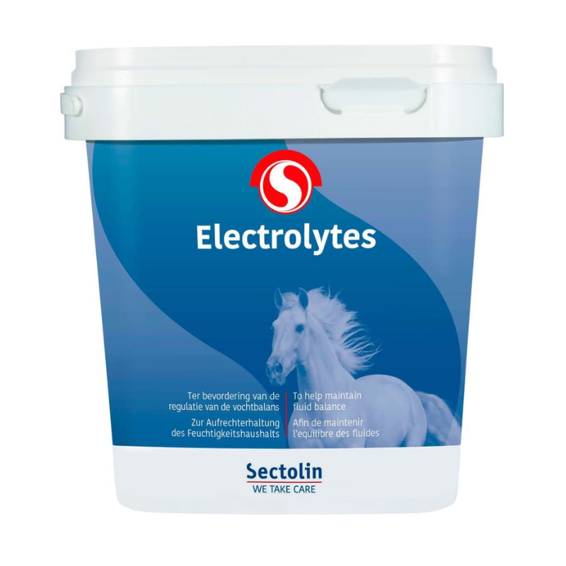 Sectolin Electrolyten