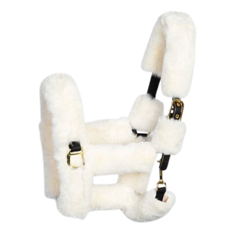 Harry's Horse Halsterbontjes