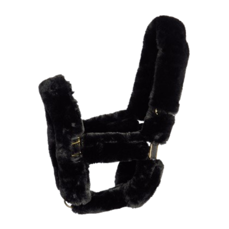 Harry's Horse Halsterbontjes