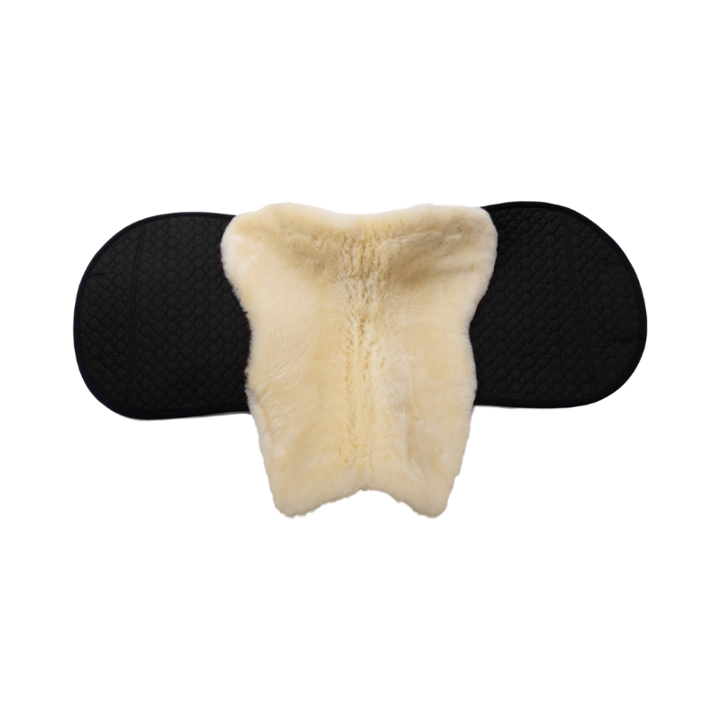 Christ Zadeldek Champ D