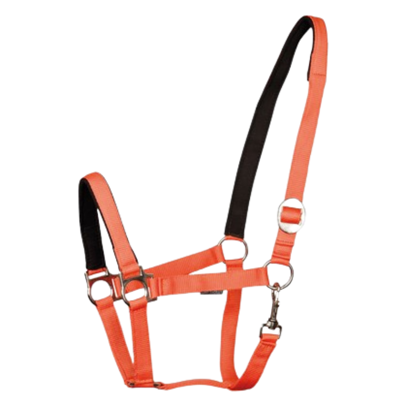 Harry´s Horse Halster Padded