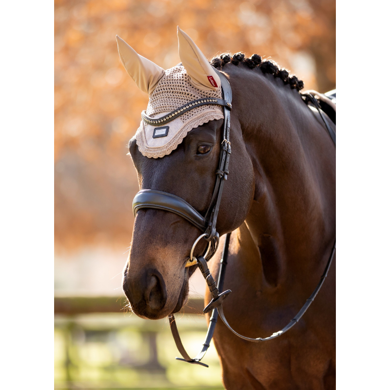 Lemieux Oornetje Rhone