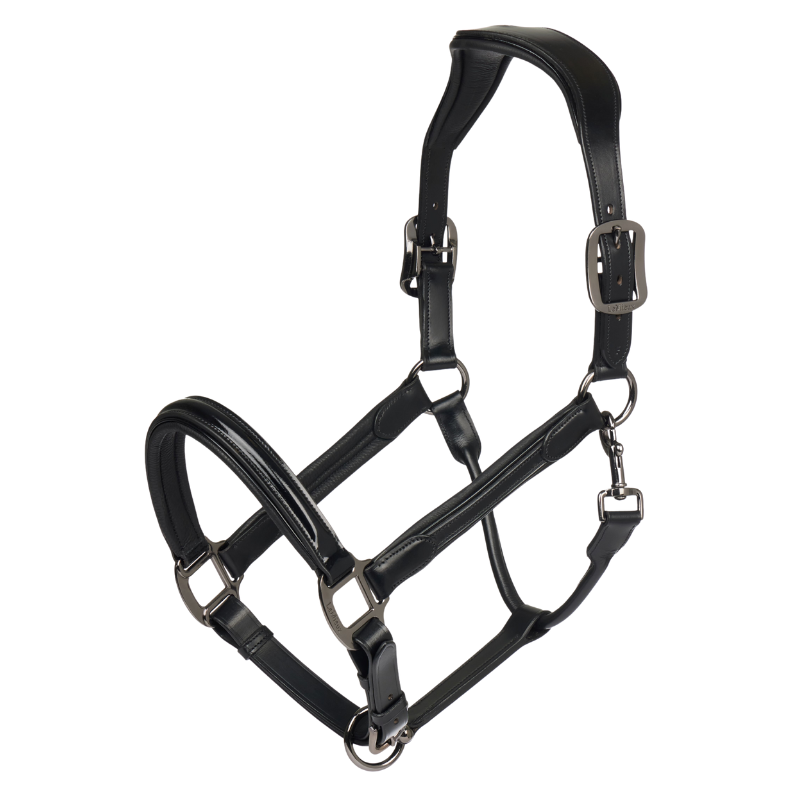 Lemieux Lak Leren Halster