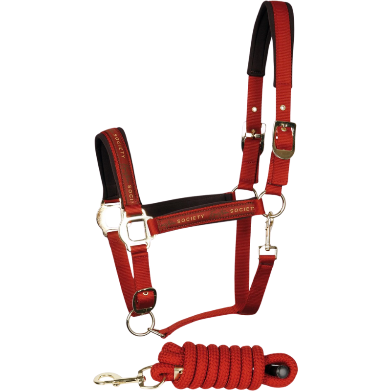 Harry's Horse Halsterset Equestrian Society