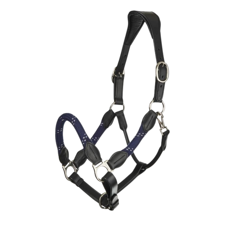 Lemieux Lasso Headcollar