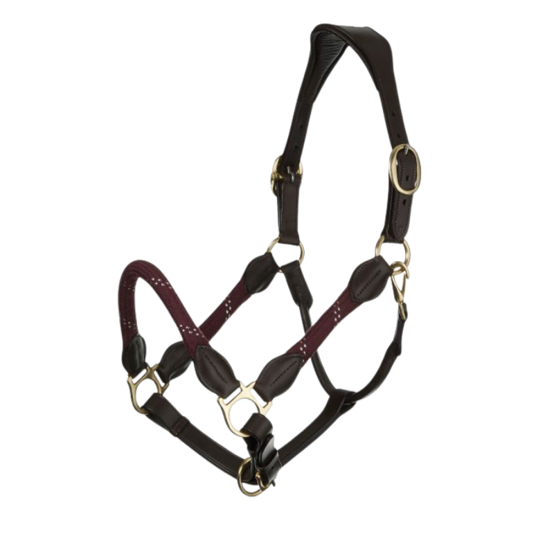 Lemieux Lasso Headcollar