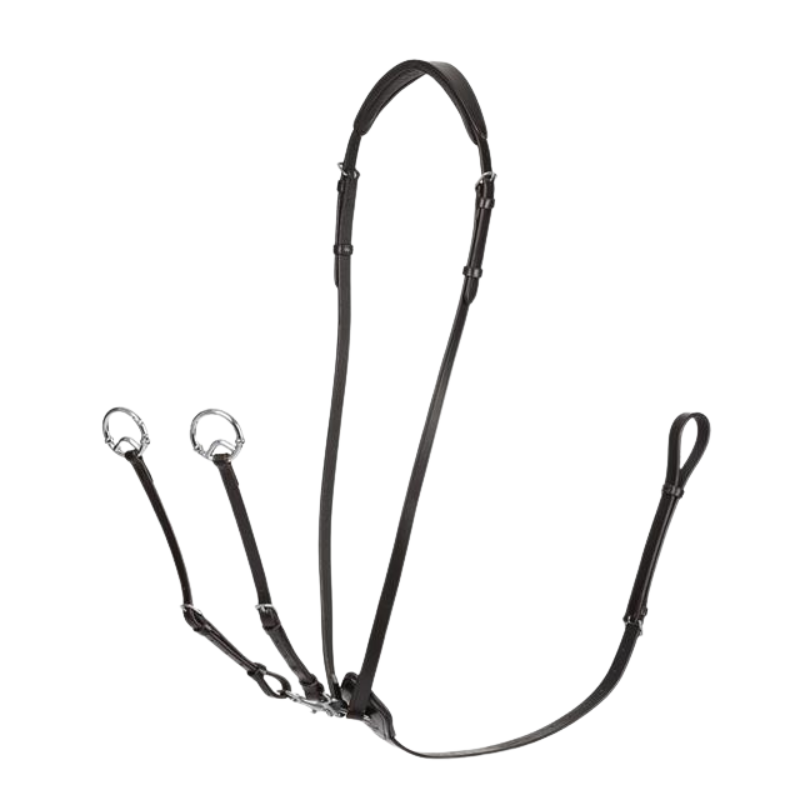 Lemieux Kudos Running Martingale