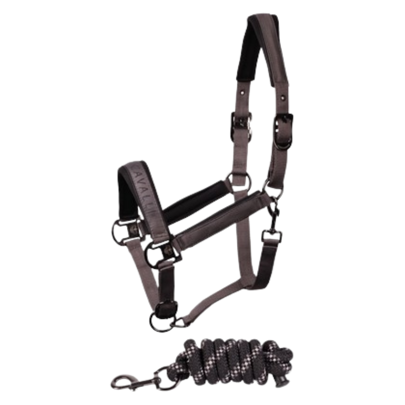 Harry's Horse Halsterset Satin Denici Cavalli Shadow