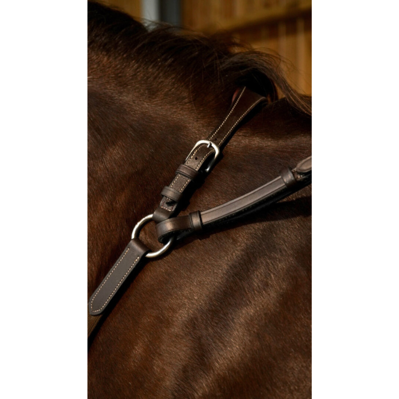 Dy'on Borsttuig Bridge Working Collection