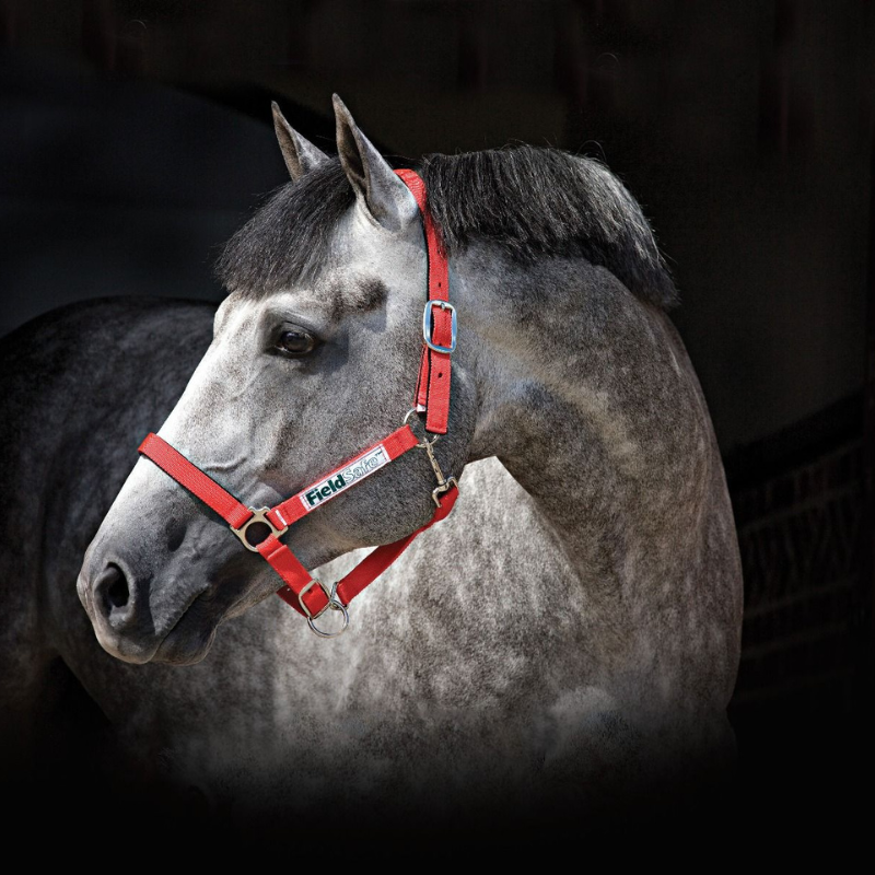 Horseware Field Safe Halster