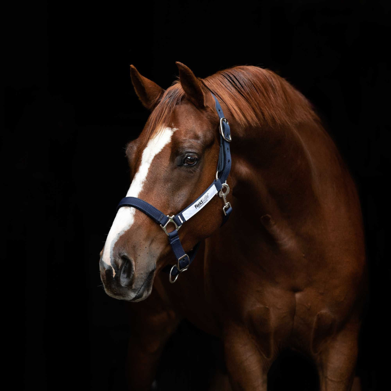 Horseware Field Safe Halster