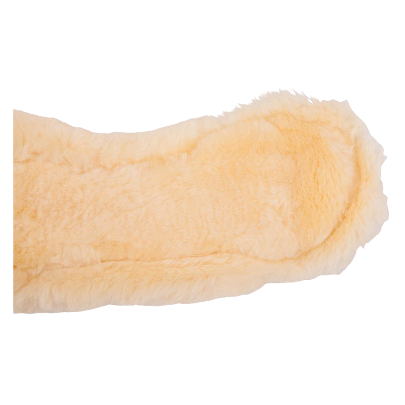 BR dressuursingel Eclipse