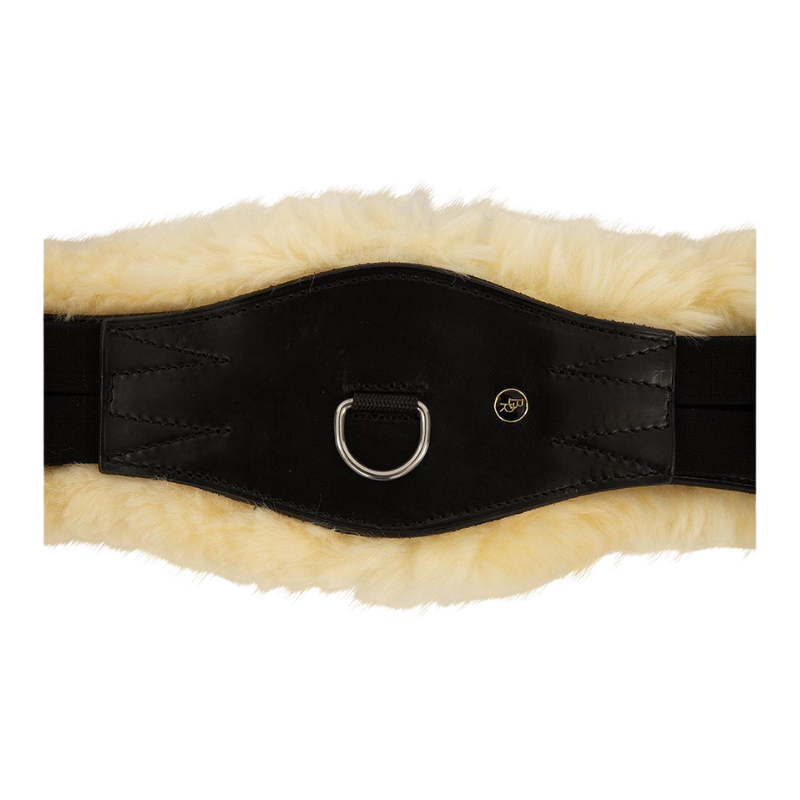 BR Dressuursingel Lincoln