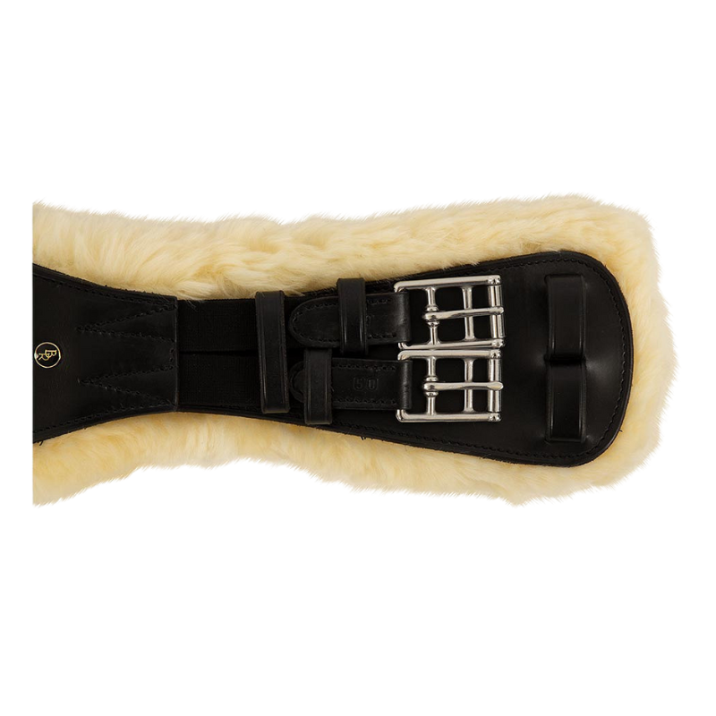 BR Dressuursingel Lincoln