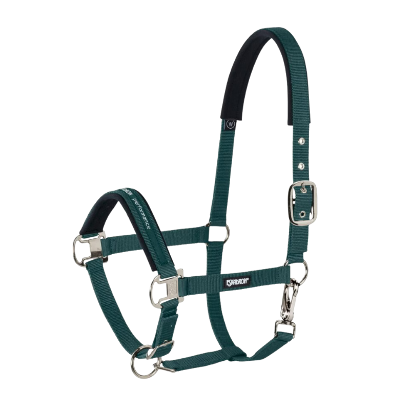 Eskadron Halster Pin Buckle