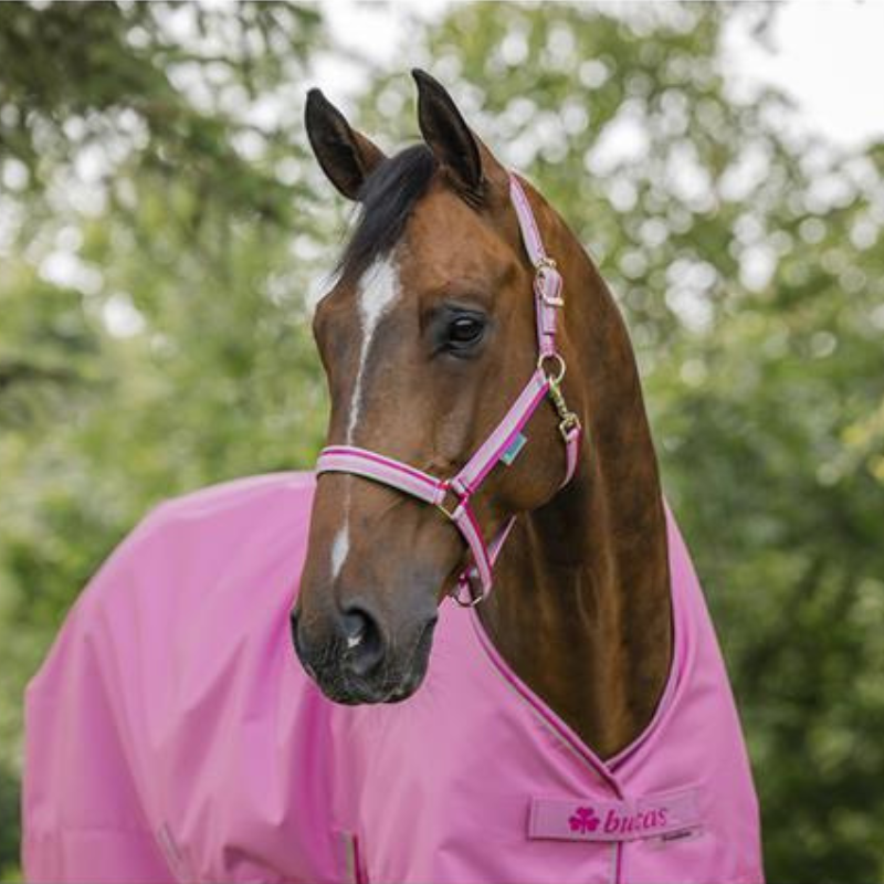 Bucas Halster Dublin SS26