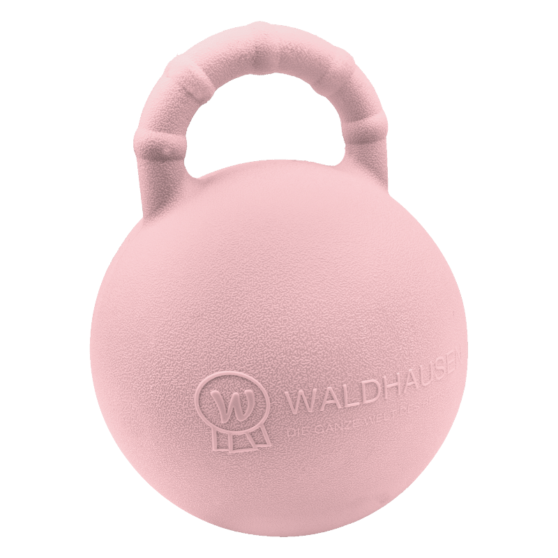 Waldhausen Fun Ball