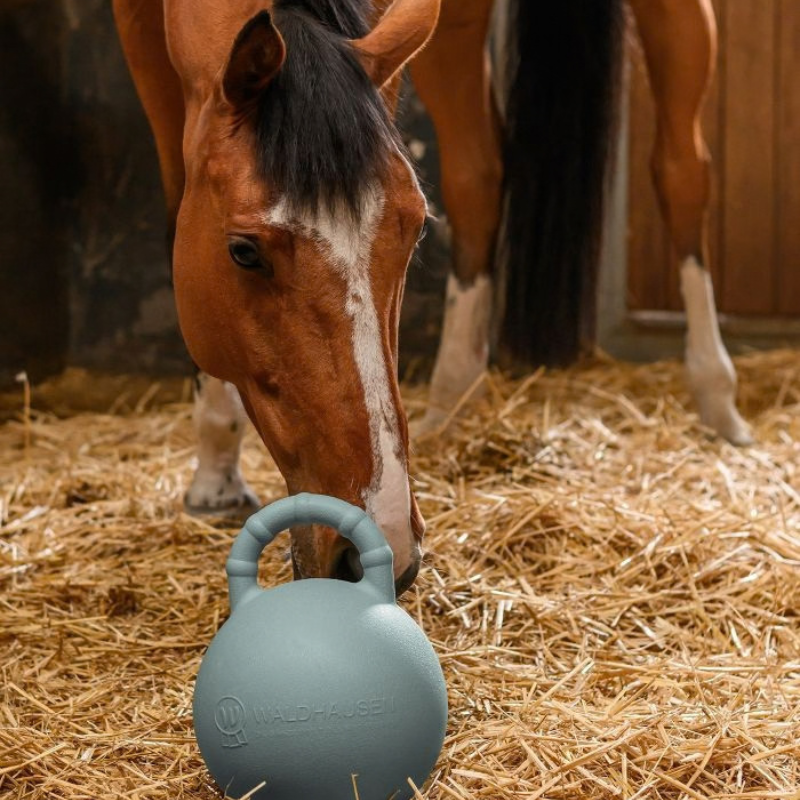 Waldhausen Fun Ball