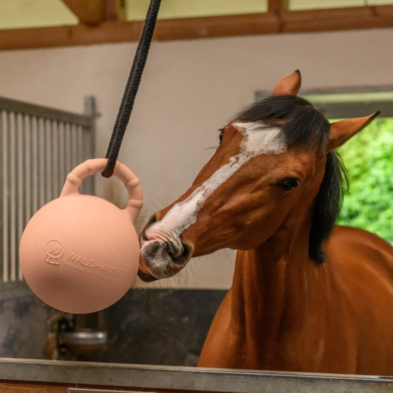 Waldhausen Fun Ball