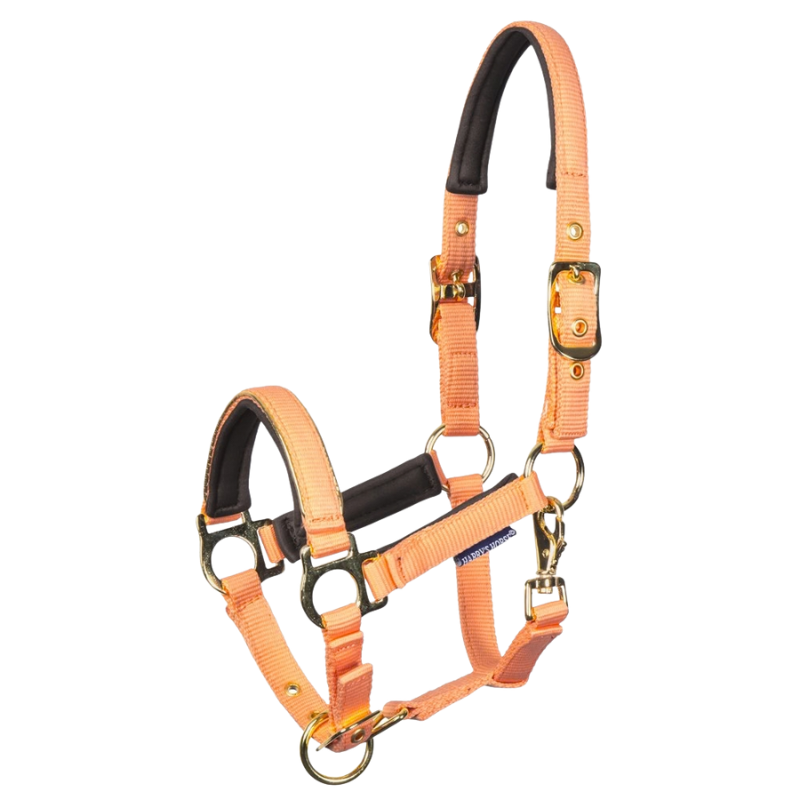 Harry's Horse Veulenhalster Metal