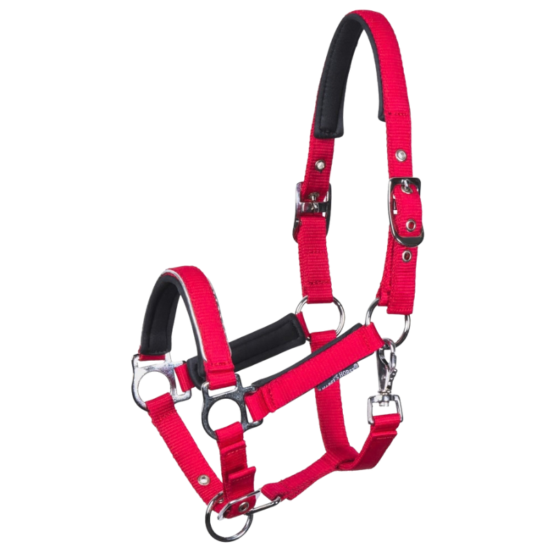 Harry's Horse Veulenhalster Metal