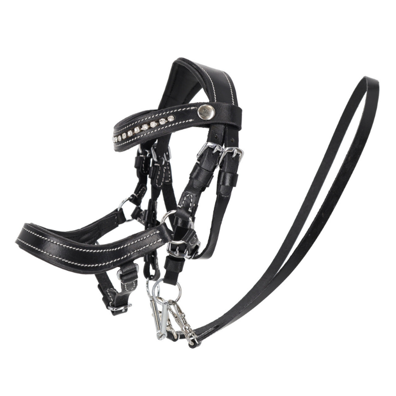 QHP Hoofdstel Dolly Hobby horse