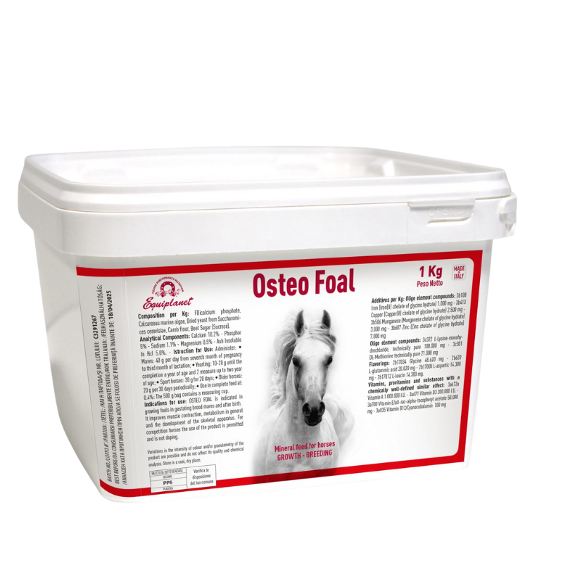 Equiplanet Osteo Foal