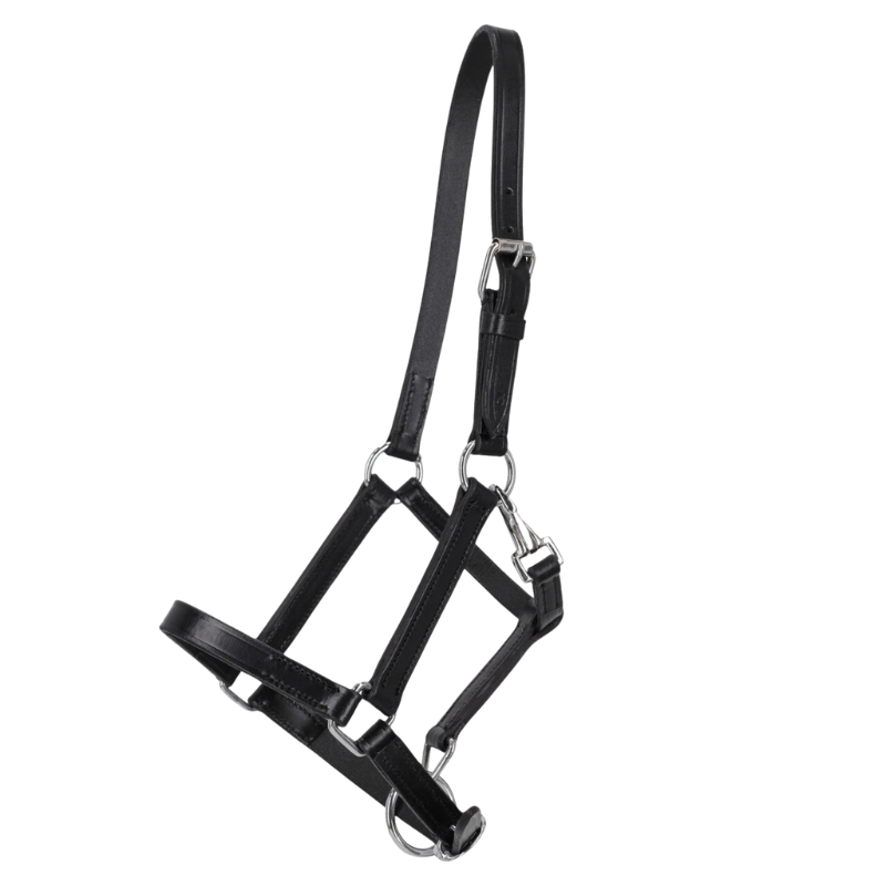 Qhp Veulenhalster Leer Met Clip