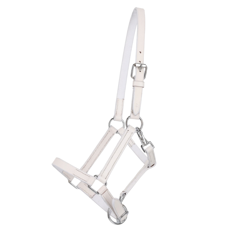 Qhp Veulenhalster Leer Met Clip