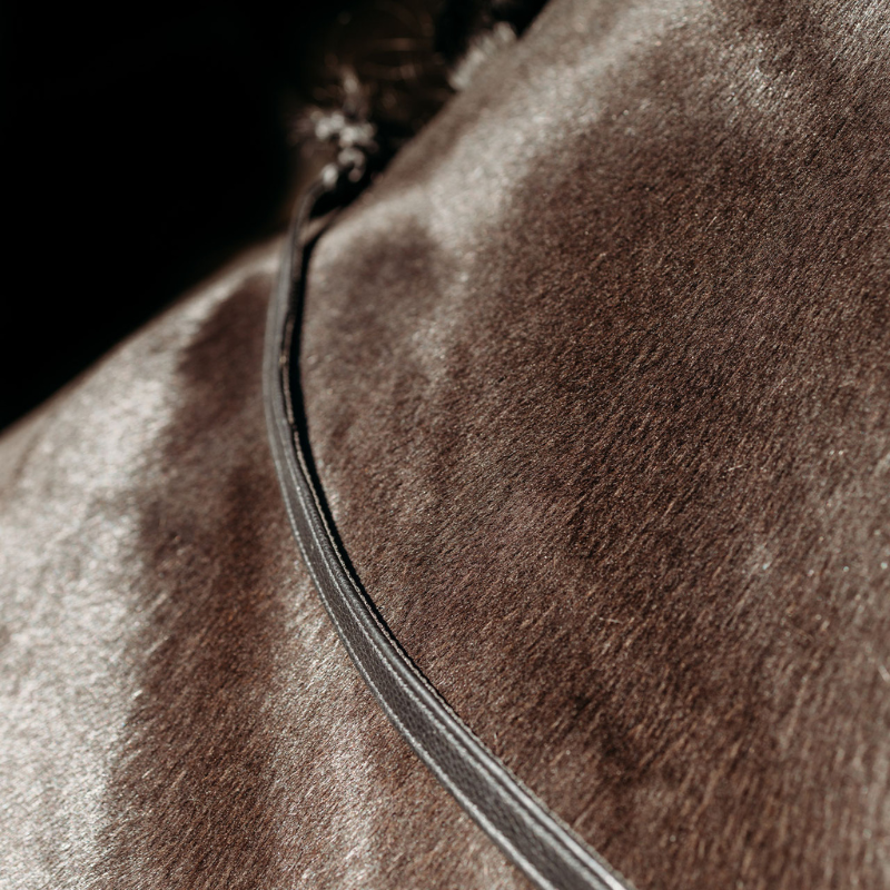 Presteq Teugel Fayrein