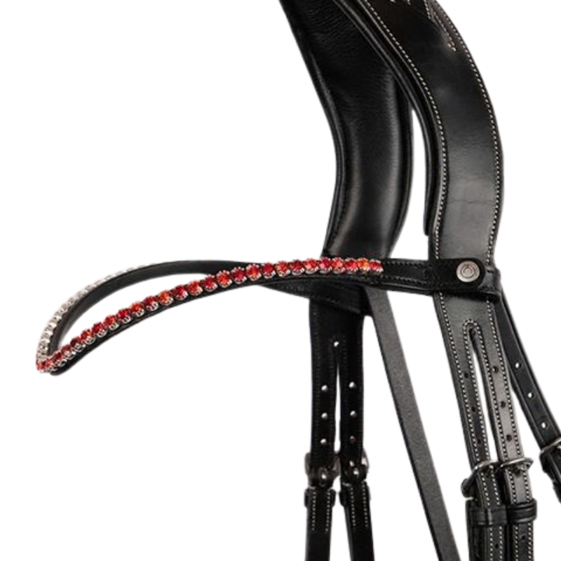 Montar Frontriem Fair Crystal