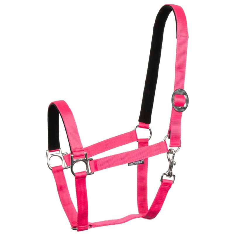 Harry´s Horse Halster Padded