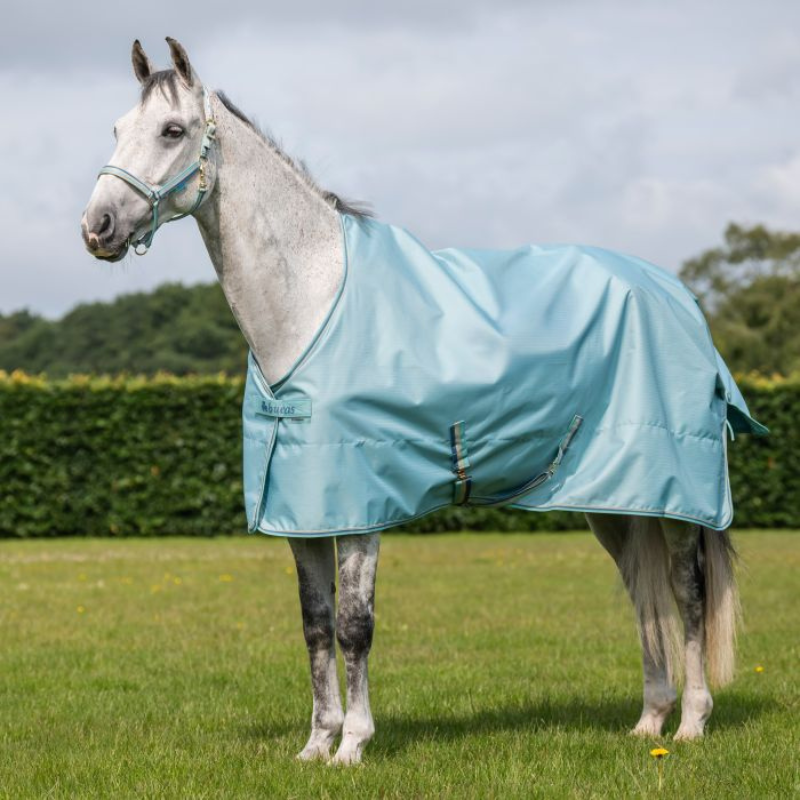 Bucas Freedom Turnout Light