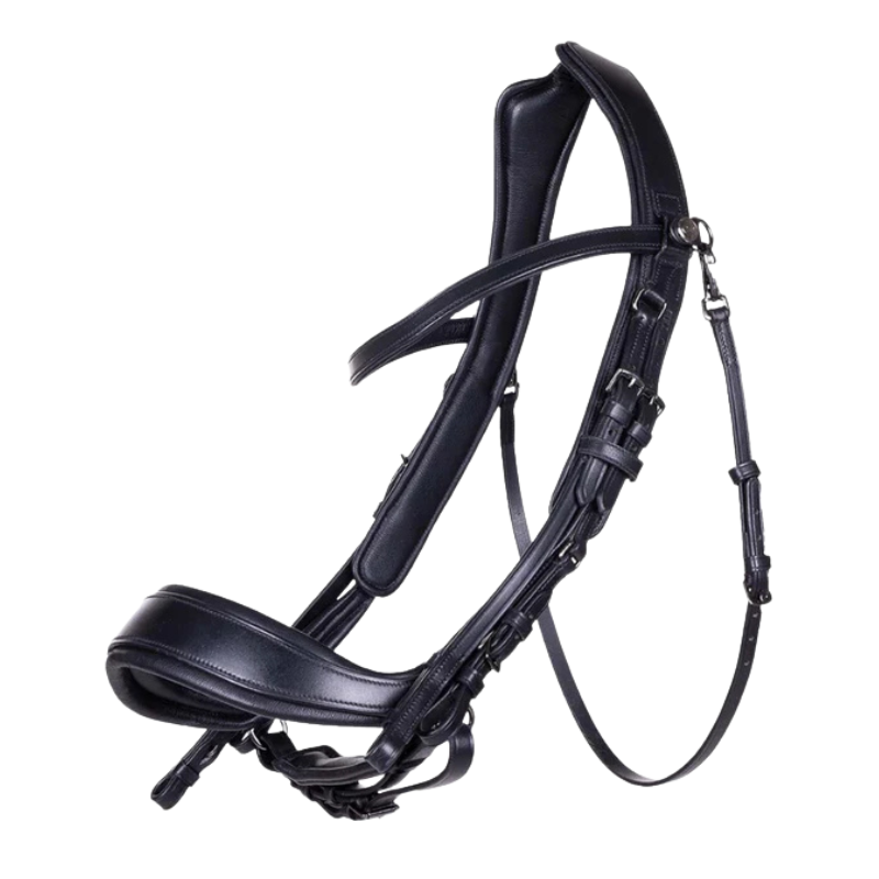 Presteq Stang en Trens Hoofdstel