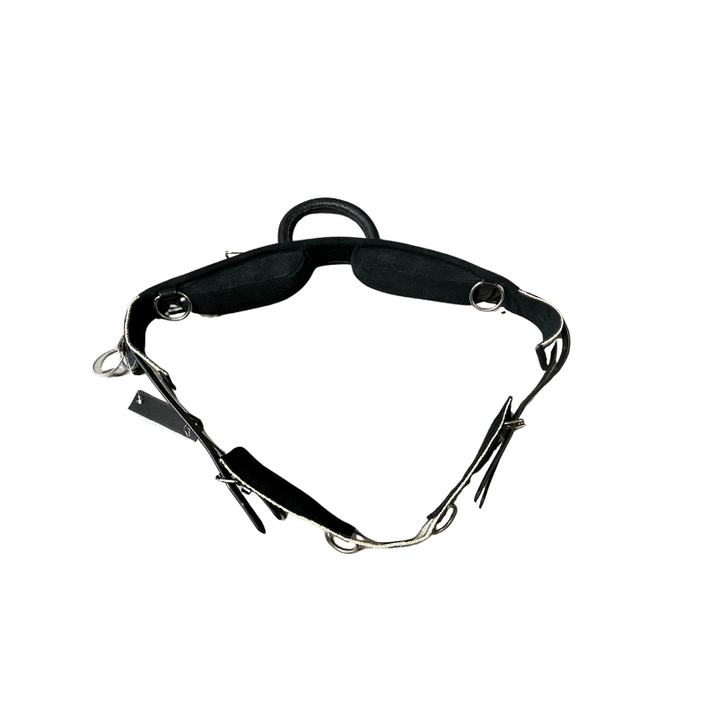 Longeersingel met handvat