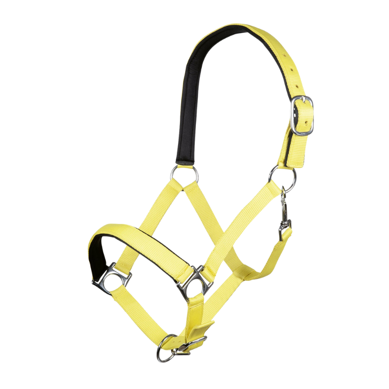 HKM Halster Stars Softice