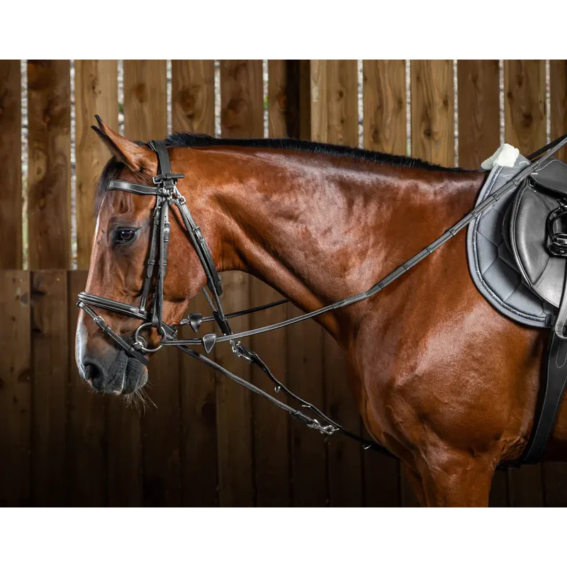 Dy'on Gogue Hulpteugel Working Collection