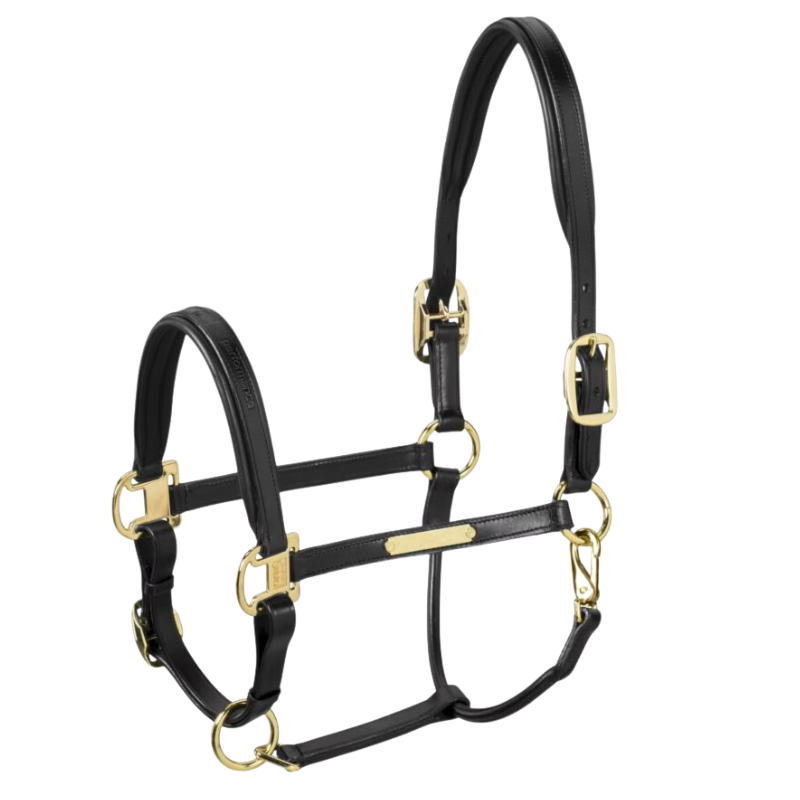 Eskadron Halster Leather Elegance