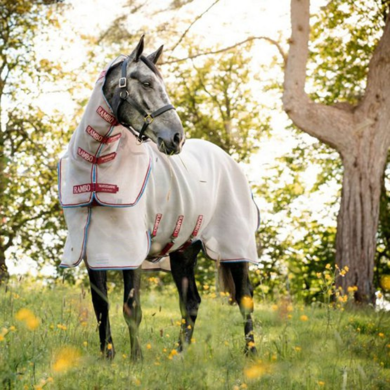 Horseware Rambo Protector