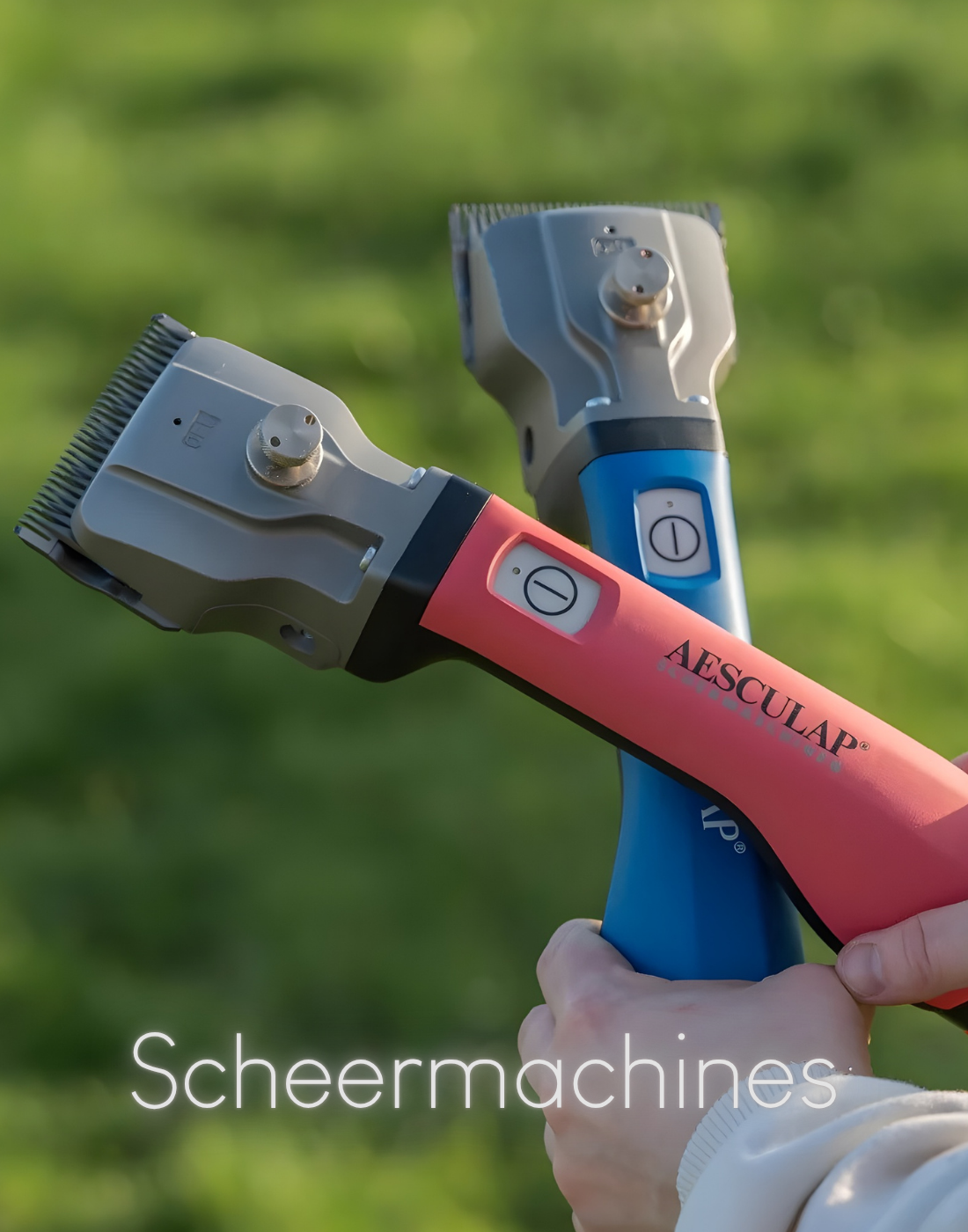 Scheren