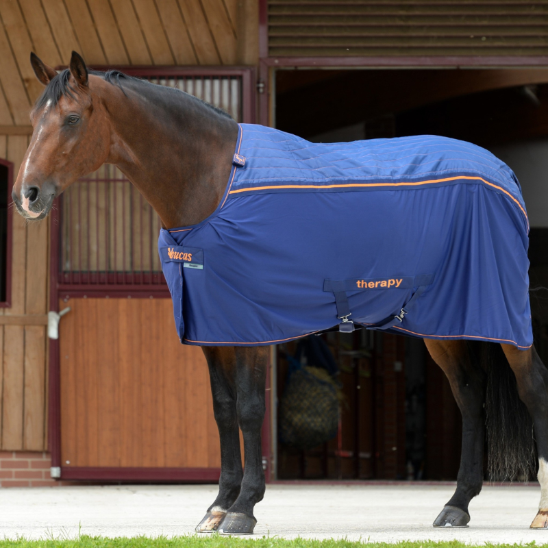 Bucas Therapy Cooler