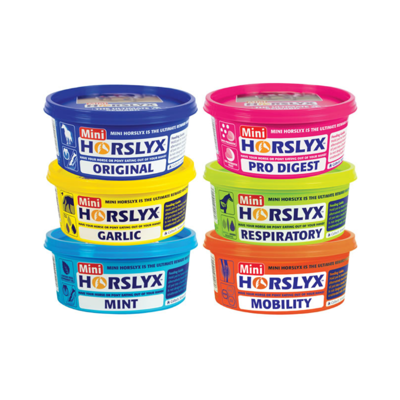 Horslyx Mini Liksteen