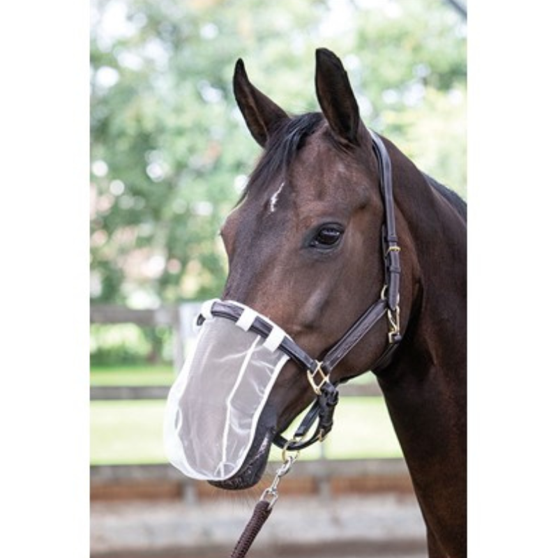 Harry's Horse Neusnetje