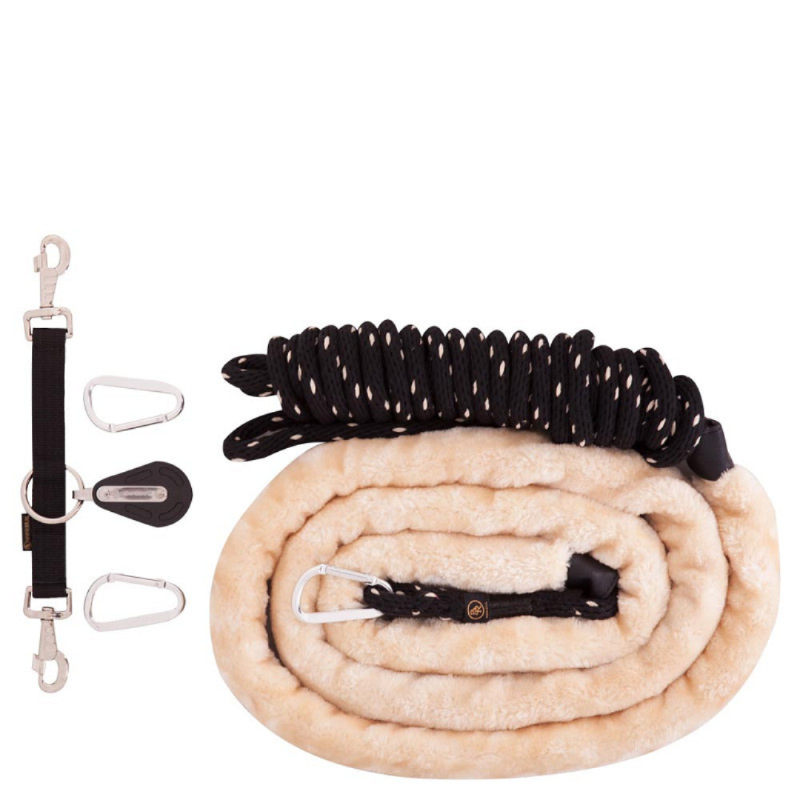 BR Longeermethode ConCord