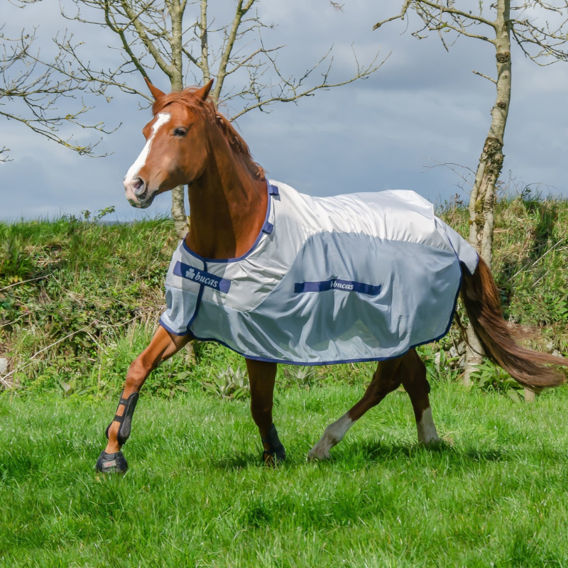 Bucas Buzz-off Rain F/N